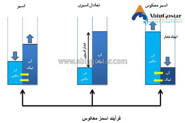 تفاوت اسمز طبیعی و اسمز معکوس چیست؟