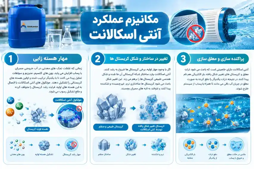 عملکرد آنتی اسکالانت